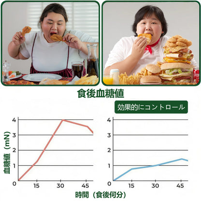 💎2点目の商品を追加すると15%割引をお楽しみいただけます - GFOUK® モリンガ