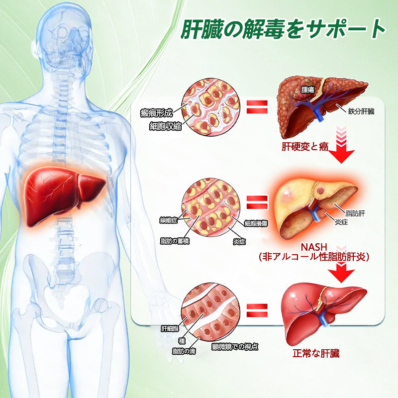 💎2点目の商品を追加すると15%割引をお楽しみいただけます - GFOUK® モリンガ