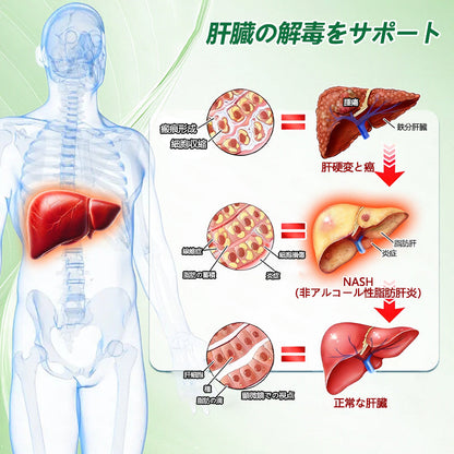 💎2点目の商品を追加すると15%割引をお楽しみいただけます - GFOUK® モリンガ