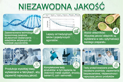 🧡 Ciesz się 50% rabatem, dodając drugi produkt - GFOUK® Moringa