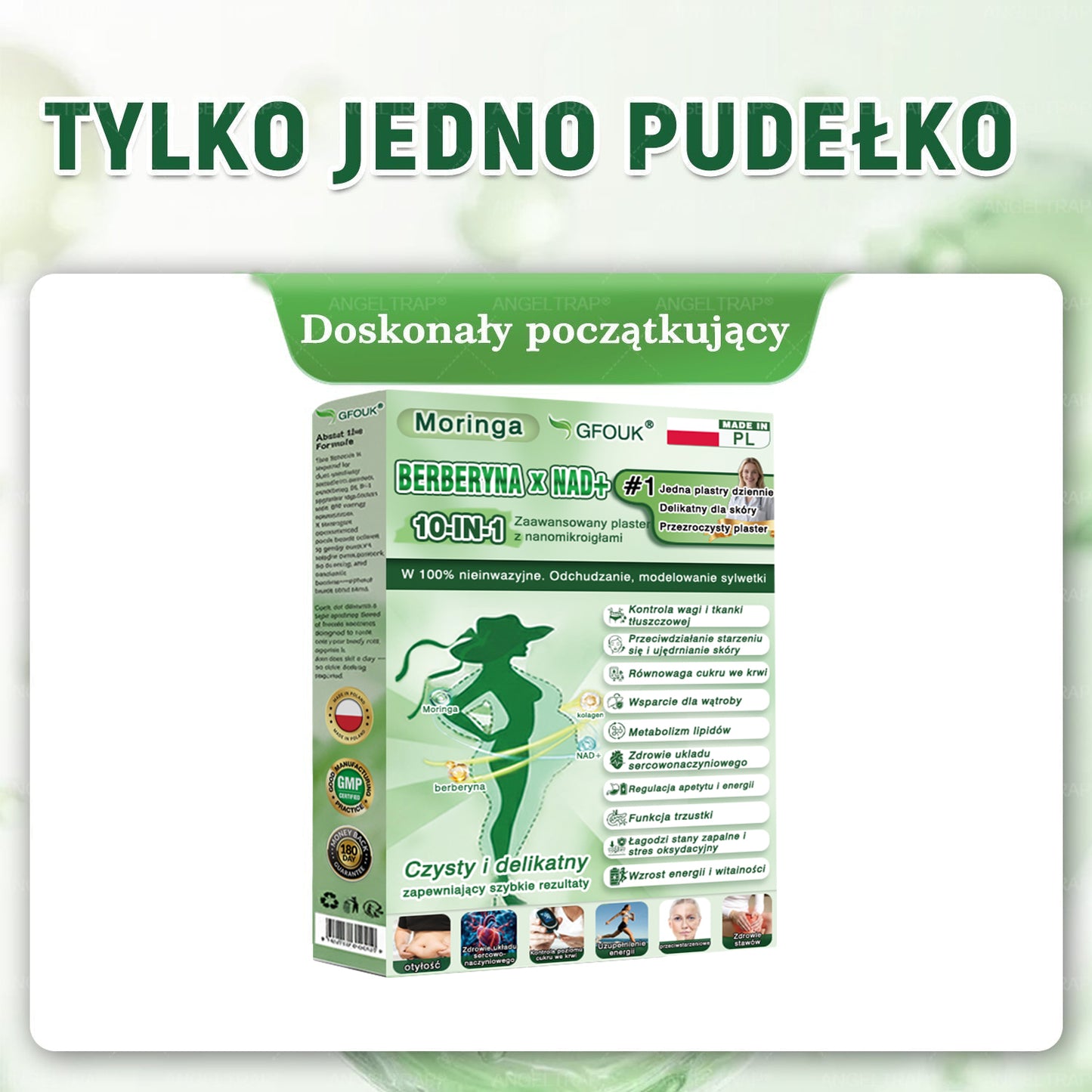 🎀 GFOUK® Moringa × Berberyna × AMPK 10-w-1 Wsparcie metaboliczne, plaster z nanotechnologią mikroigłową 🇵🇱(Wystarczy raz dziennie, widoczne efekty w 7 dni) ✅ Na otyłość, wiotką skórę, cukrzycę, bezdech senny, problemy ze stawami i wiele innych